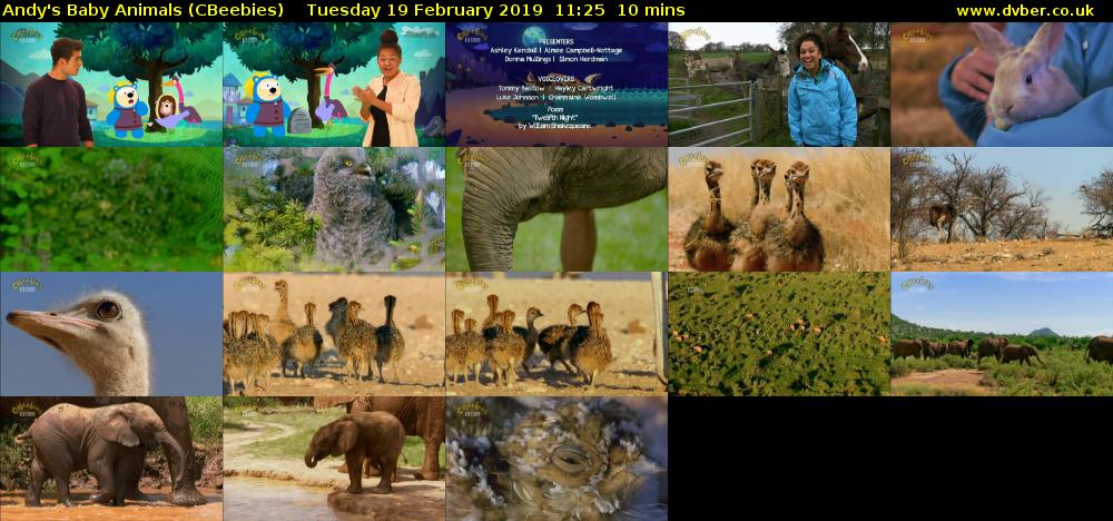 Andy's Baby Animals (CBeebies) Tuesday 19 February 2019 11:25 - 11:35