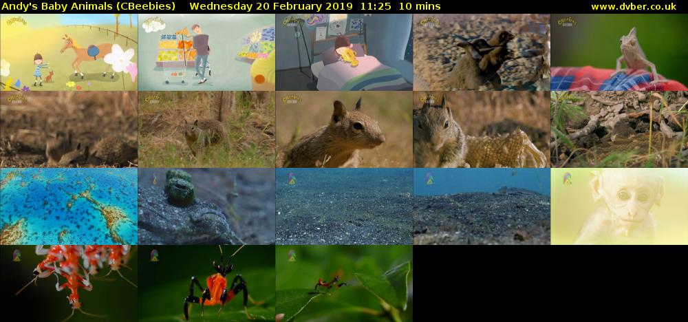 Andy's Baby Animals (CBeebies) Wednesday 20 February 2019 11:25 - 11:35
