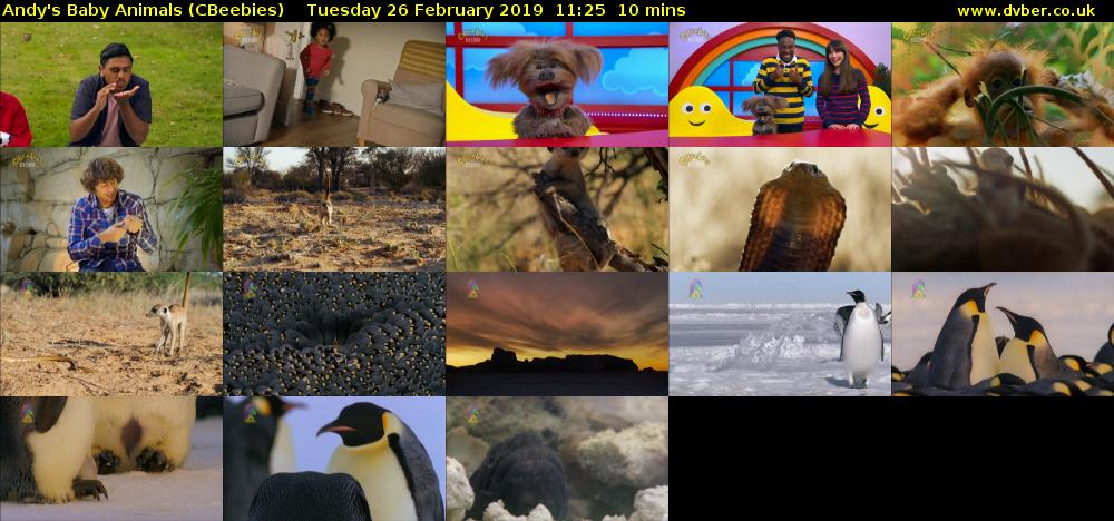 Andy's Baby Animals (CBeebies) Tuesday 26 February 2019 11:25 - 11:35