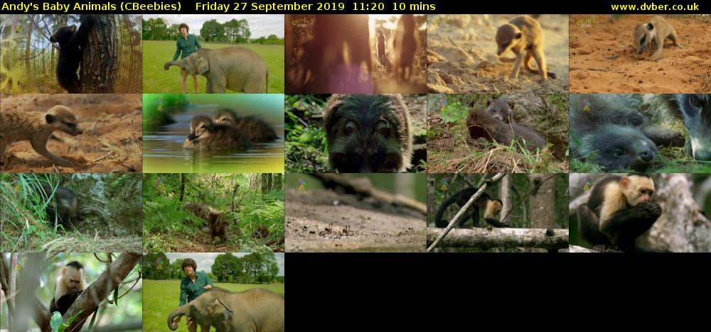 Andy's Baby Animals (CBeebies) Friday 27 September 2019 11:20 - 11:30