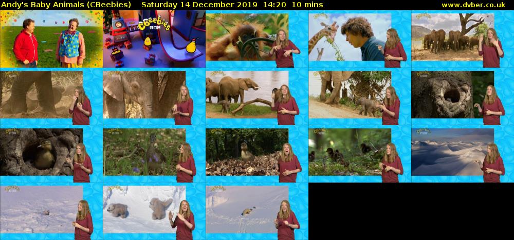 Andy's Baby Animals (CBeebies) Saturday 14 December 2019 14:20 - 14:30