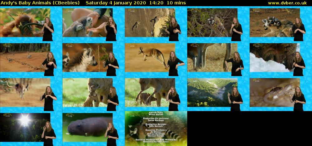 Andy's Baby Animals (CBeebies) Saturday 4 January 2020 14:20 - 14:30