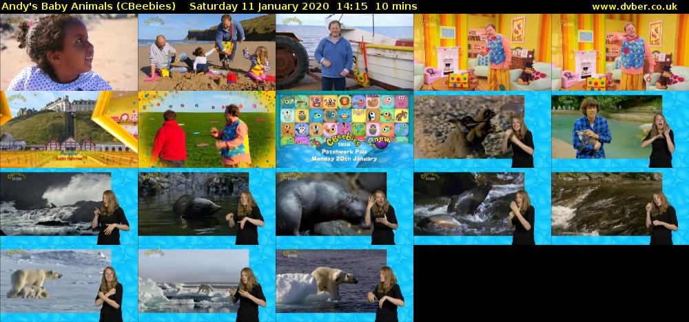 Andy's Baby Animals (CBeebies) Saturday 11 January 2020 14:15 - 14:25
