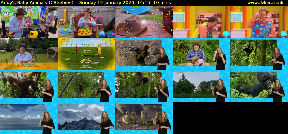 Andy's Baby Animals (CBeebies) Sunday 12 January 2020 14:15 - 14:25