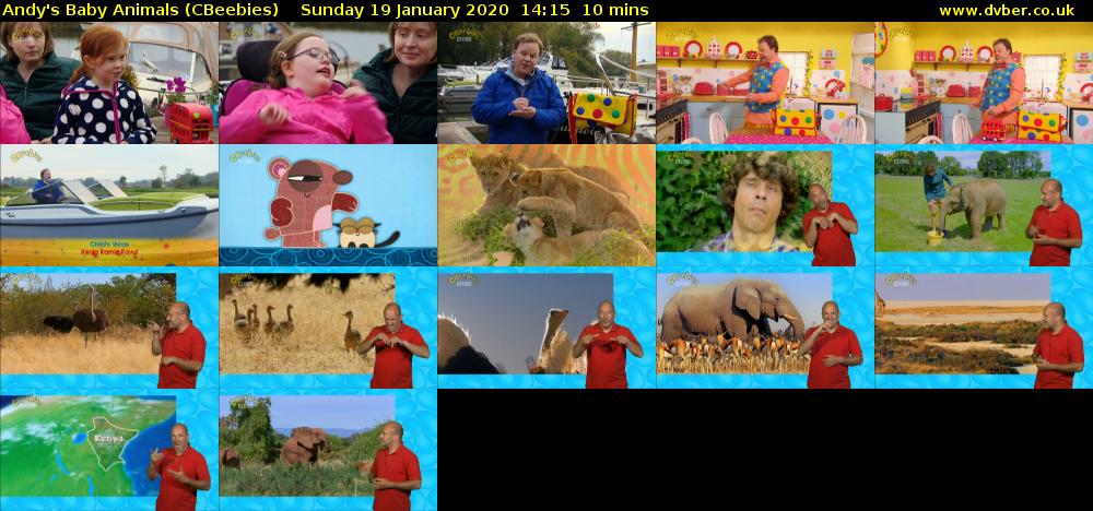 Andy's Baby Animals (CBeebies) Sunday 19 January 2020 14:15 - 14:25