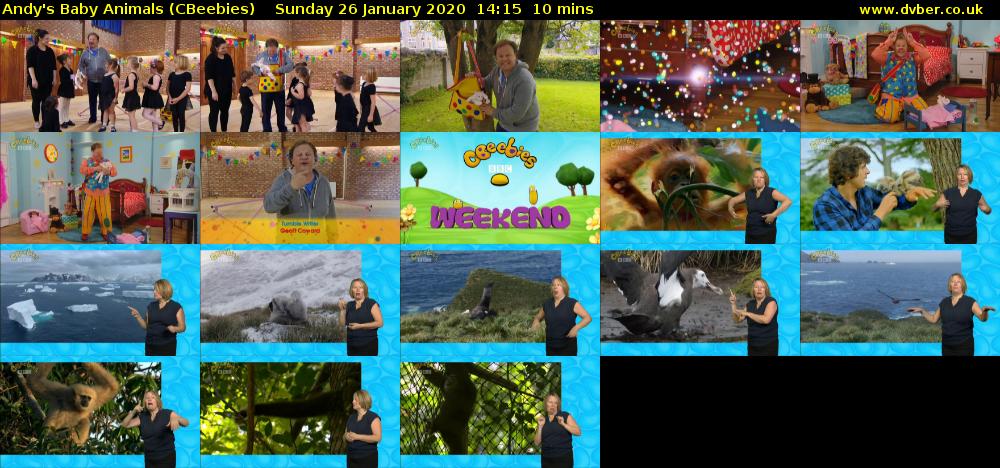 Andy's Baby Animals (CBeebies) Sunday 26 January 2020 14:15 - 14:25