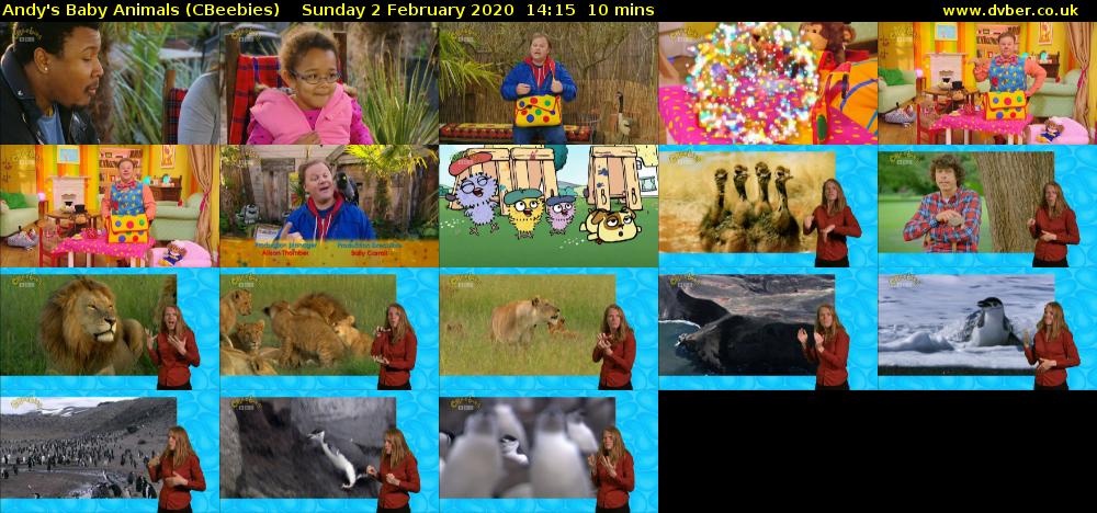 Andy's Baby Animals (CBeebies) Sunday 2 February 2020 14:15 - 14:25