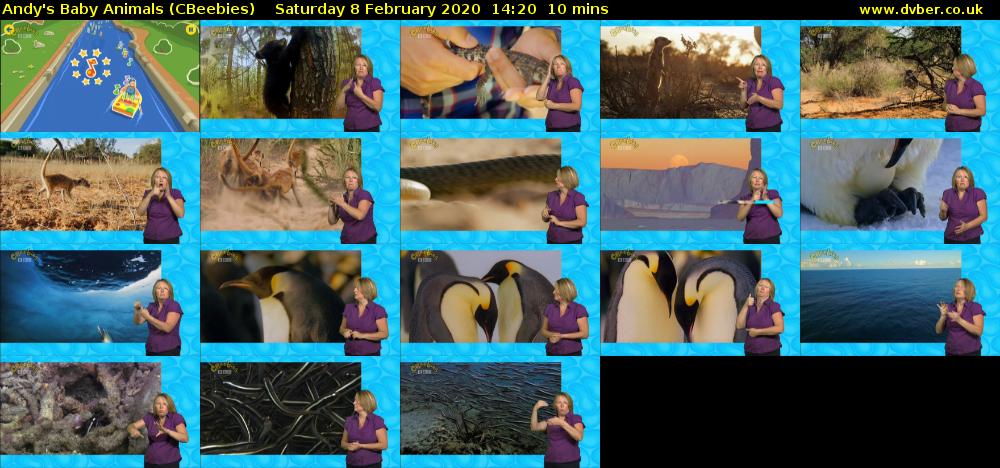 Andy's Baby Animals (CBeebies) Saturday 8 February 2020 14:20 - 14:30