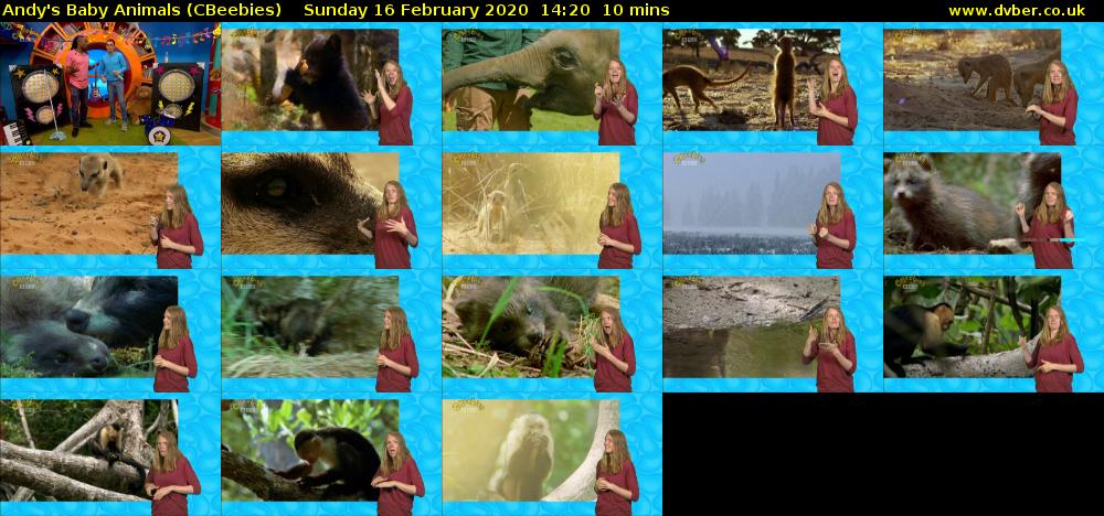 Andy's Baby Animals (CBeebies) Sunday 16 February 2020 14:20 - 14:30