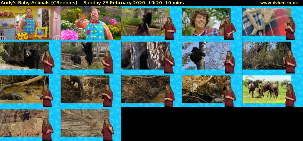 Andy's Baby Animals (CBeebies) Sunday 23 February 2020 14:20 - 14:30