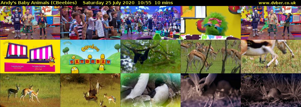 Andy's Baby Animals (CBeebies) Saturday 25 July 2020 10:55 - 11:05
