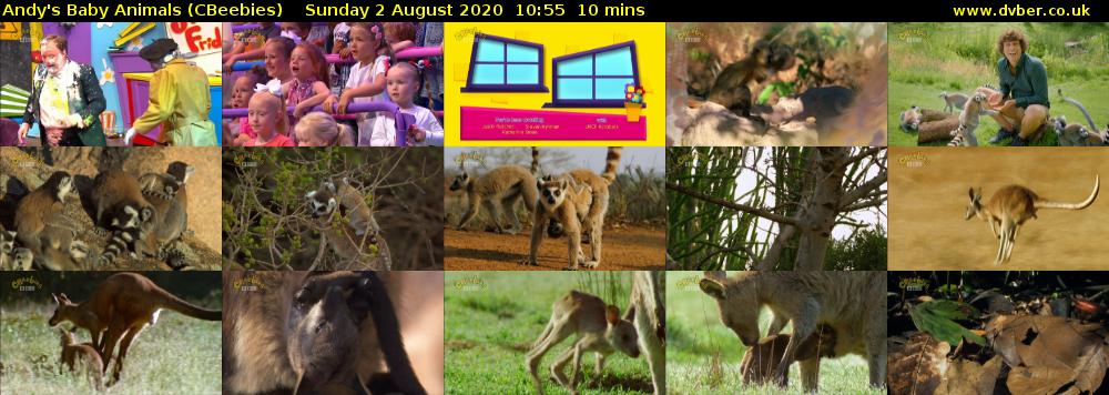 Andy's Baby Animals (CBeebies) Sunday 2 August 2020 10:55 - 11:05
