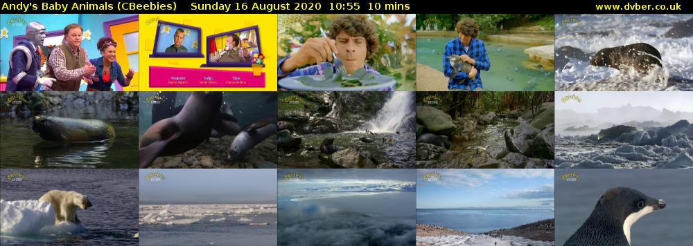 Andy's Baby Animals (CBeebies) Sunday 16 August 2020 10:55 - 11:05