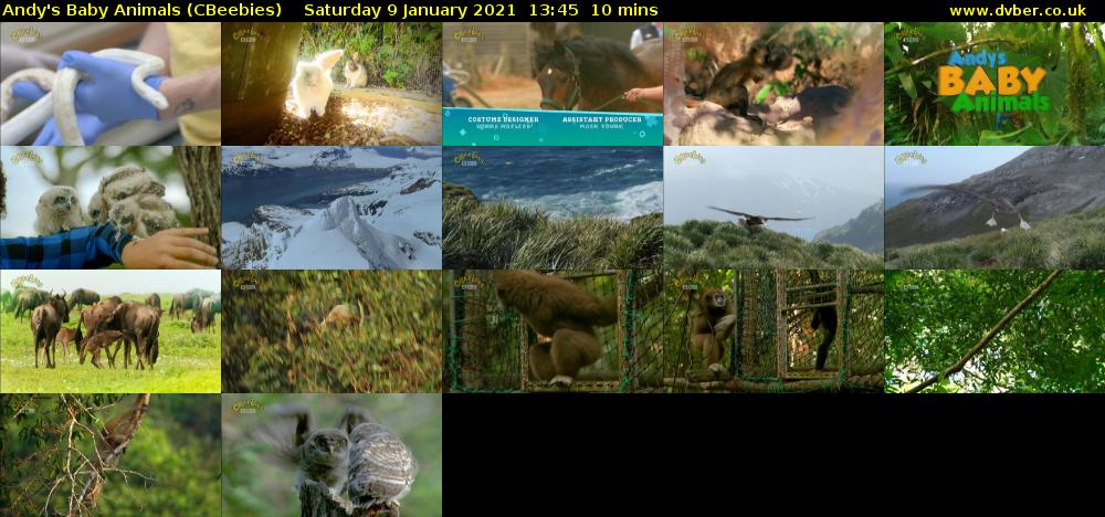 Andy's Baby Animals (CBeebies) Saturday 9 January 2021 13:45 - 13:55