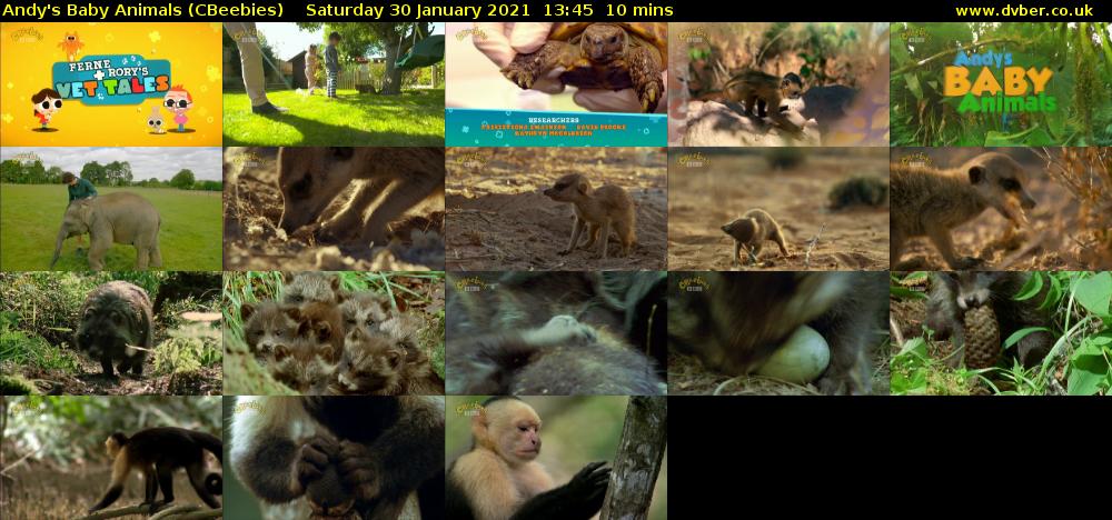 Andy's Baby Animals (CBeebies) Saturday 30 January 2021 13:45 - 13:55