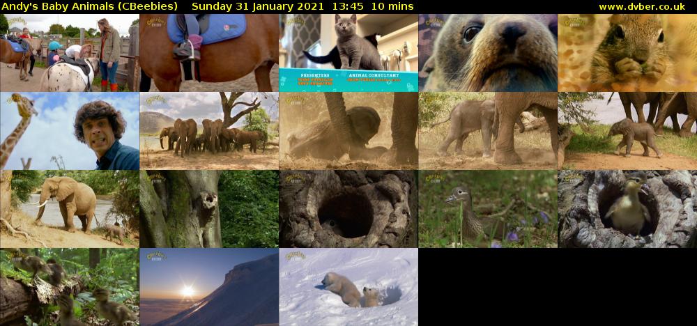 Andy's Baby Animals (CBeebies) Sunday 31 January 2021 13:45 - 13:55
