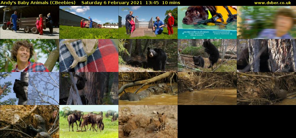 Andy's Baby Animals (CBeebies) Saturday 6 February 2021 13:45 - 13:55