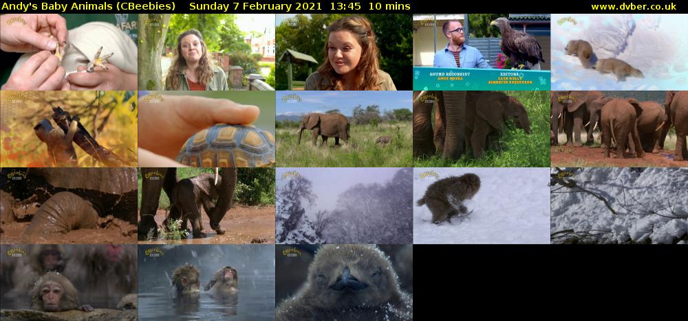 Andy's Baby Animals (CBeebies) Sunday 7 February 2021 13:45 - 13:55