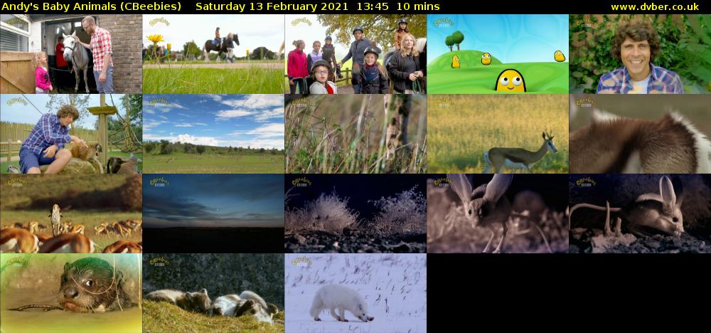 Andy's Baby Animals (CBeebies) Saturday 13 February 2021 13:45 - 13:55