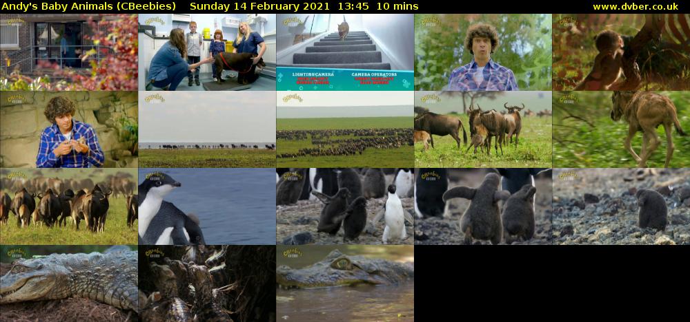 Andy's Baby Animals (CBeebies) Sunday 14 February 2021 13:45 - 13:55