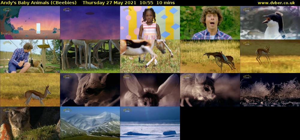 Andy's Baby Animals (CBeebies) Thursday 27 May 2021 10:55 - 11:05