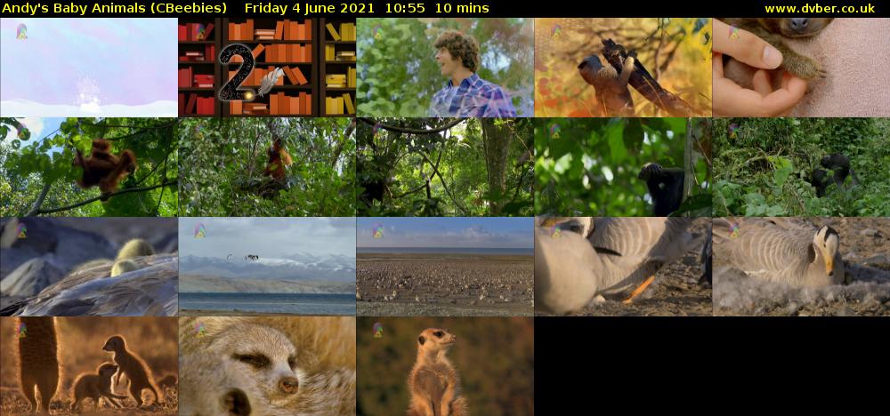 Andy's Baby Animals (CBeebies) Friday 4 June 2021 10:55 - 11:05