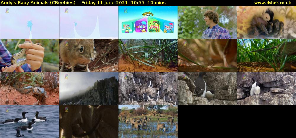 Andy's Baby Animals (CBeebies) Friday 11 June 2021 10:55 - 11:05