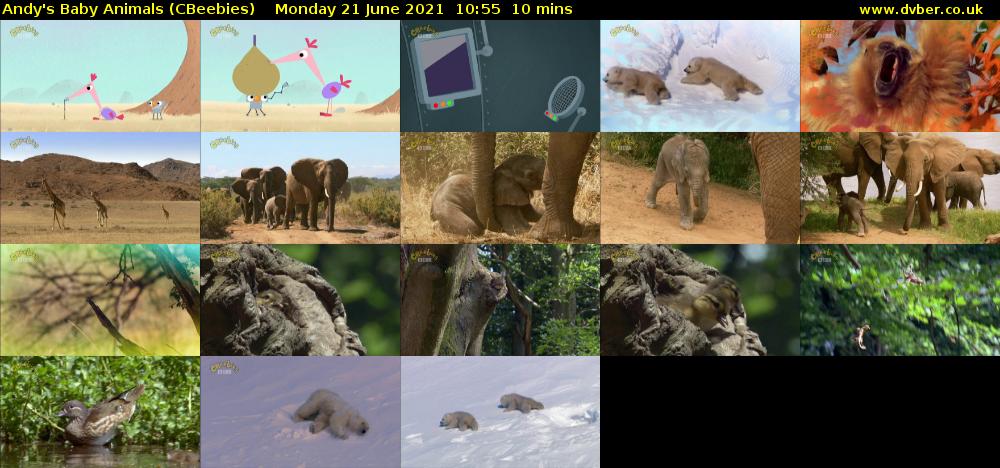 Andy's Baby Animals (CBeebies) Monday 21 June 2021 10:55 - 11:05