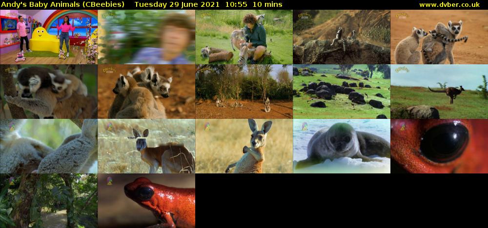 Andy's Baby Animals (CBeebies) Tuesday 29 June 2021 10:55 - 11:05