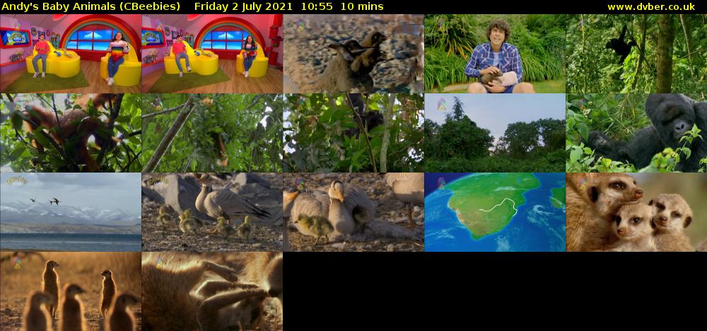 Andy's Baby Animals (CBeebies) Friday 2 July 2021 10:55 - 11:05
