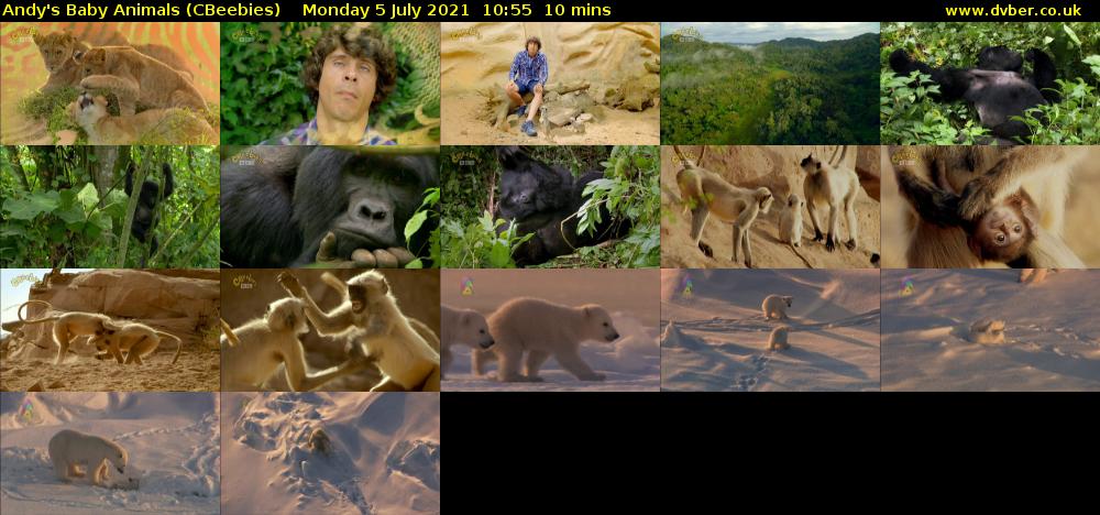 Andy's Baby Animals (CBeebies) Monday 5 July 2021 10:55 - 11:05