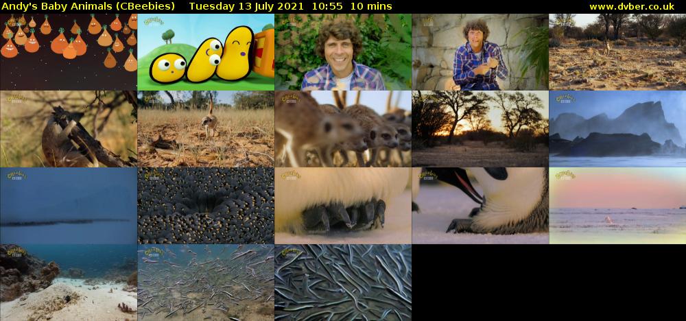 Andy's Baby Animals (CBeebies) Tuesday 13 July 2021 10:55 - 11:05