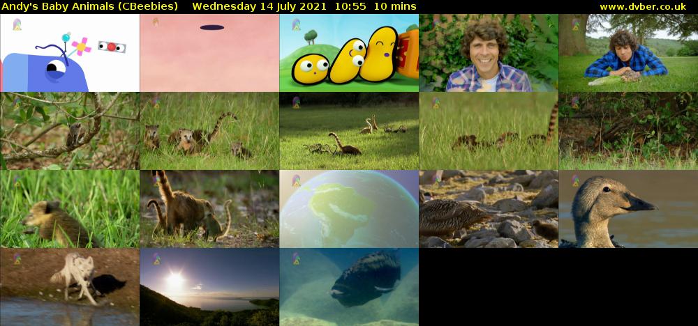 Andy's Baby Animals (CBeebies) Wednesday 14 July 2021 10:55 - 11:05
