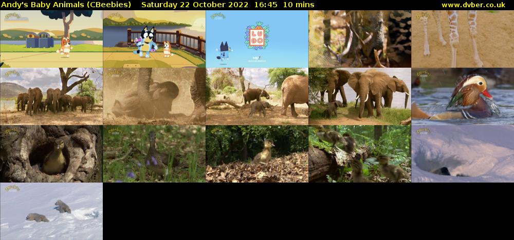 Andy's Baby Animals (CBeebies) Saturday 22 October 2022 16:45 - 16:55