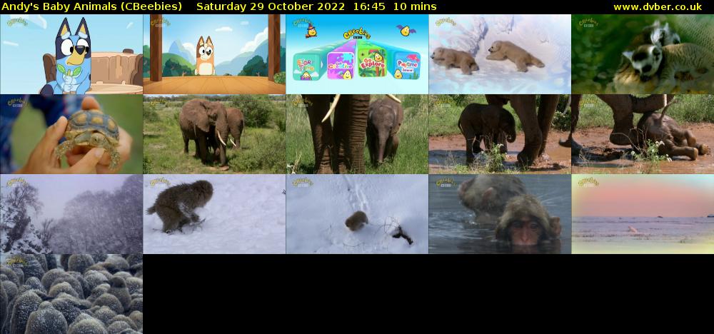 Andy's Baby Animals (CBeebies) Saturday 29 October 2022 16:45 - 16:55