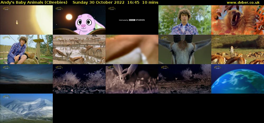 Andy's Baby Animals (CBeebies) Sunday 30 October 2022 16:45 - 16:55