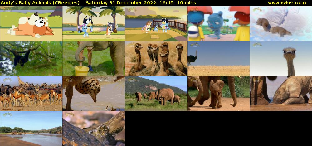 Andy's Baby Animals (CBeebies) Saturday 31 December 2022 16:45 - 16:55