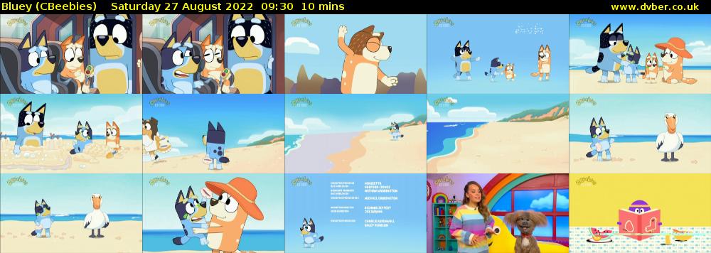 bluey-cbeebies-2022-08-27-0930