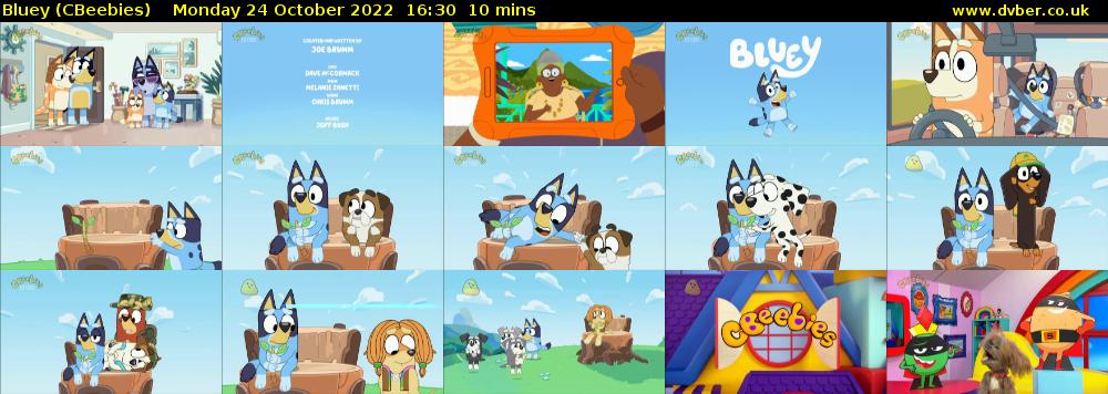 Bluey CBeebies 2022 10 24 1630 bluey-cbeebies-2022-10-24-1630