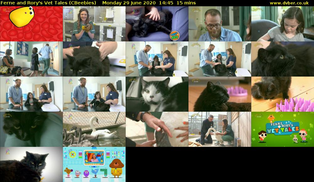 Ferne and Rory's Vet Tales (CBeebies) Monday 29 June 2020 14:45 - 15:00