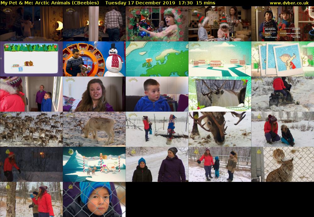My Pet & Me: Arctic Animals (CBeebies) Tuesday 17 December 2019 17:30 - 17:45