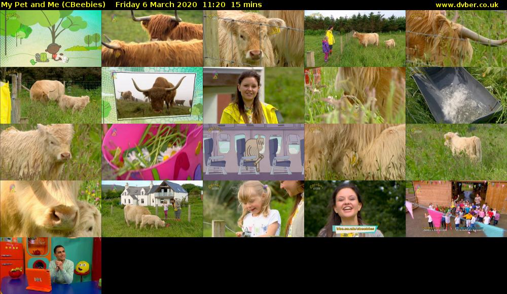 My Pet and Me (CBeebies) Friday 6 March 2020 11:20 - 11:35