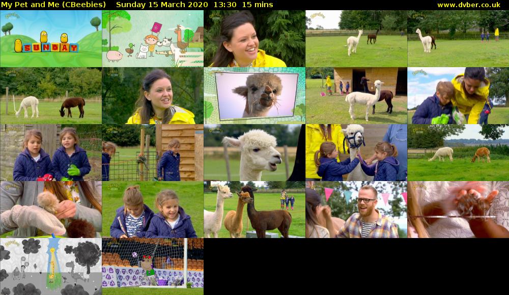 My Pet and Me (CBeebies) Sunday 15 March 2020 13:30 - 13:45