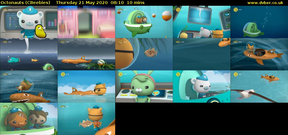 Octonauts (CBeebies) Thursday 21 May 2020 08:10 - 08:20