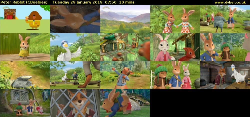 Peter Rabbit (CBeebies) Tuesday 29 January 2019 07:50 - 08:00
