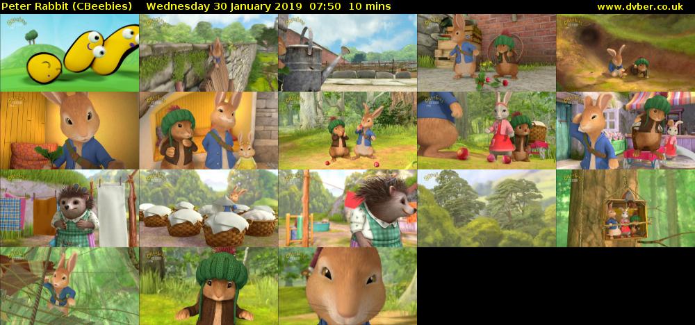 Peter Rabbit (CBeebies) Wednesday 30 January 2019 07:50 - 08:00
