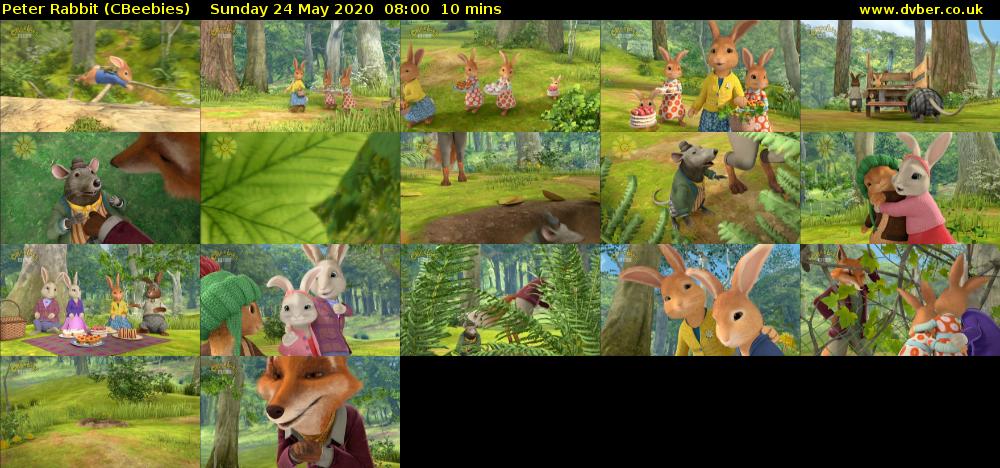 Peter Rabbit (CBeebies) Sunday 24 May 2020 08:00 - 08:10
