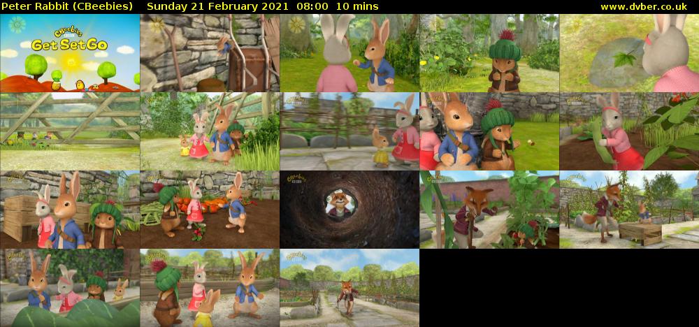 Peter Rabbit (CBeebies) Sunday 21 February 2021 08:00 - 08:10