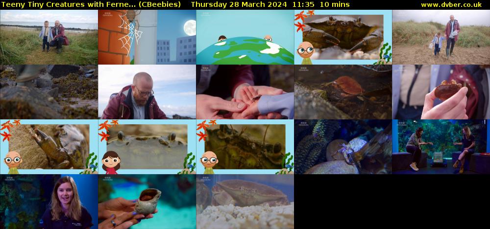 Teeny Tiny Creatures with Ferne... (CBeebies) Thursday 28 March 2024 11:35 - 11:45