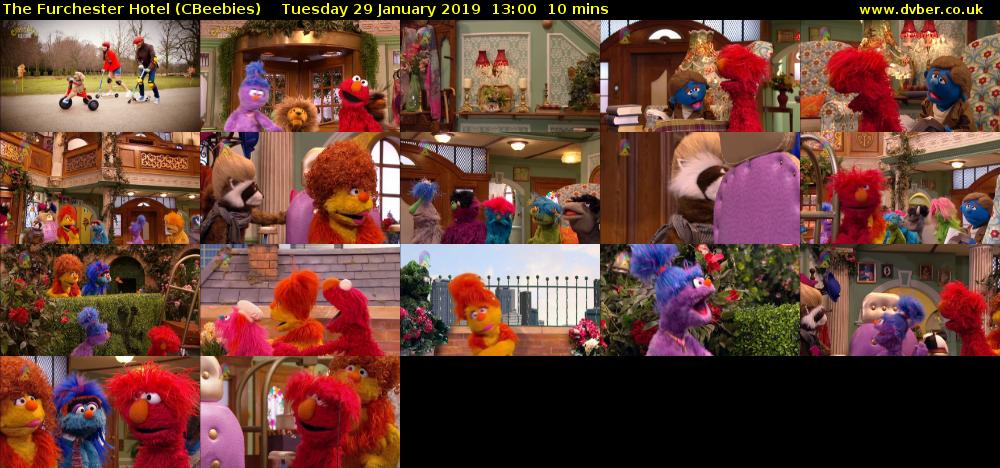 The Furchester Hotel (CBeebies) Tuesday 29 January 2019 13:00 - 13:10